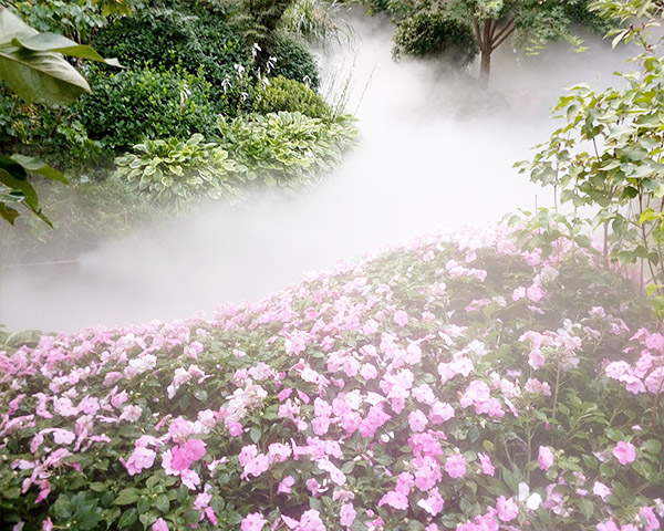 陽泉優質園林噴霧造景廠家